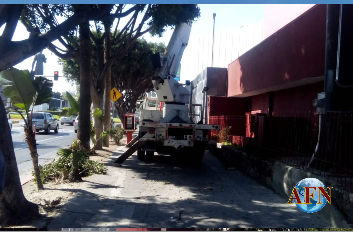 Clausuran anuncio frente a oficinas de Morena