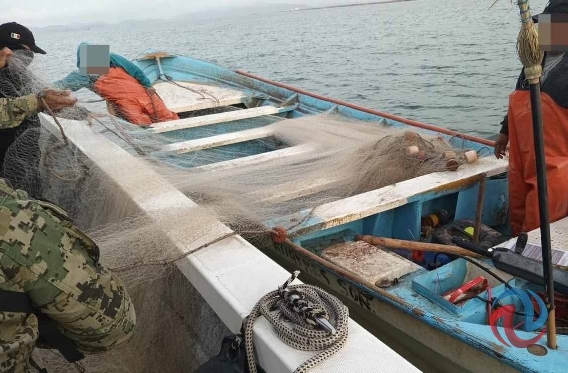Decomisaron artes de pesca para camarón en Guaymas Sonora