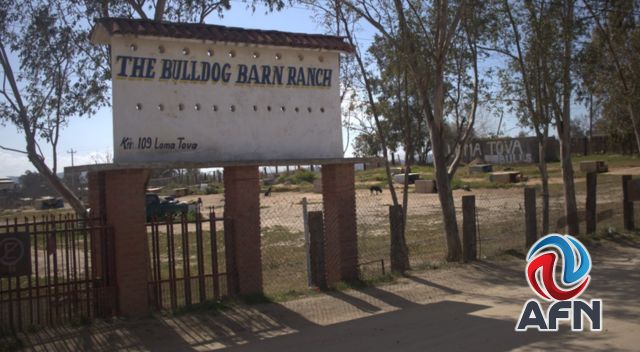 Personal de Bienestar Animal inspeccionó The Bulldog Barn Ranch en Tecate