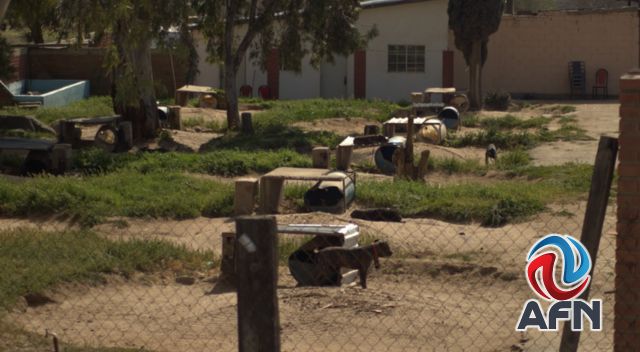 Personal de Bienestar Animal inspeccionó The Bulldog Barn Ranch en Tecate