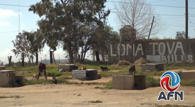 Personal de Bienestar Animal inspeccionó The Bulldog Barn Ranch en Tecate