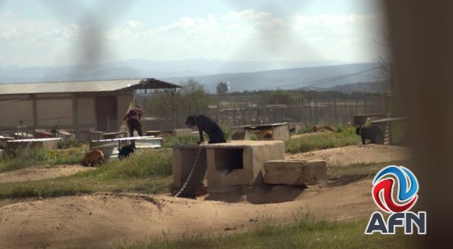 Personal de Bienestar Animal inspeccionó The Bulldog Barn Ranch en Tecate