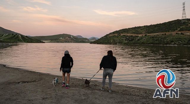 Persiste contaminación por peces muertos en la presa