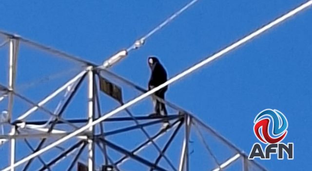 Trepó 50 metros en una torre de alta tensión