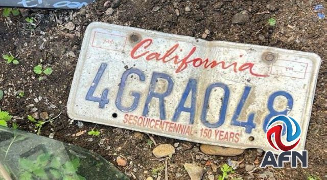 Encuentran más de 80 vehículos robados en un yonke