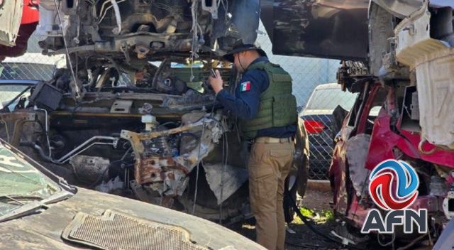 Encuentran más de 80 vehículos robados en un yonke