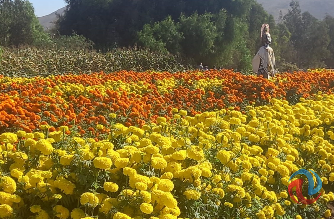 Invita Cotuco a visitar la Ruta Ecoturistica Cueros de Venado