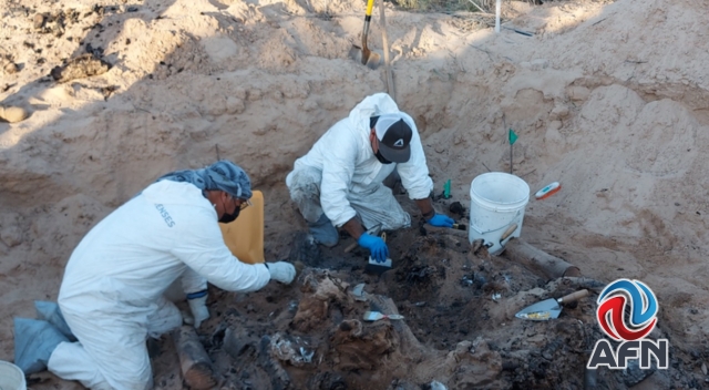 Denuncian en La Haya fosas clandestinas de Baja California