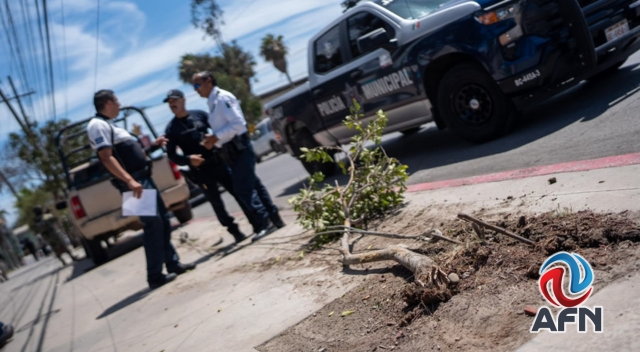 Arrollan militares a un motociclista de tránsito en Garita de Otay