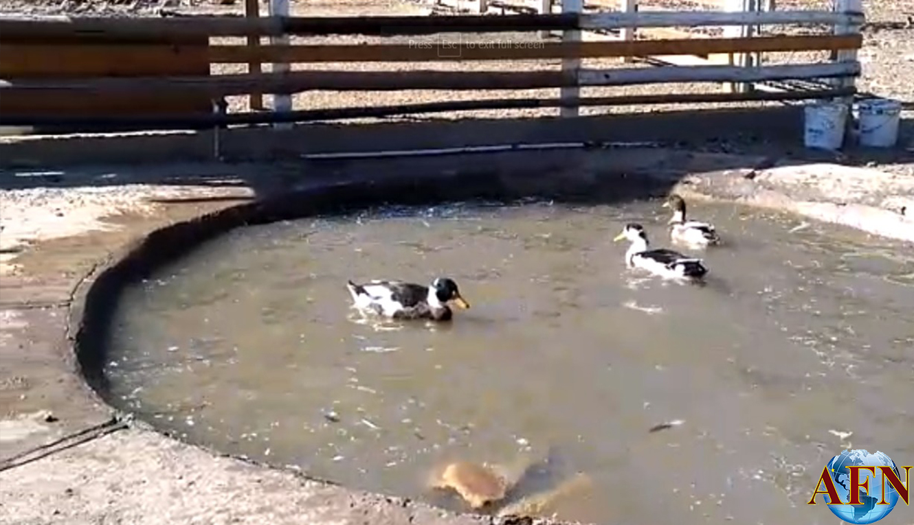 Realizan proyecto de Granja Didáctica