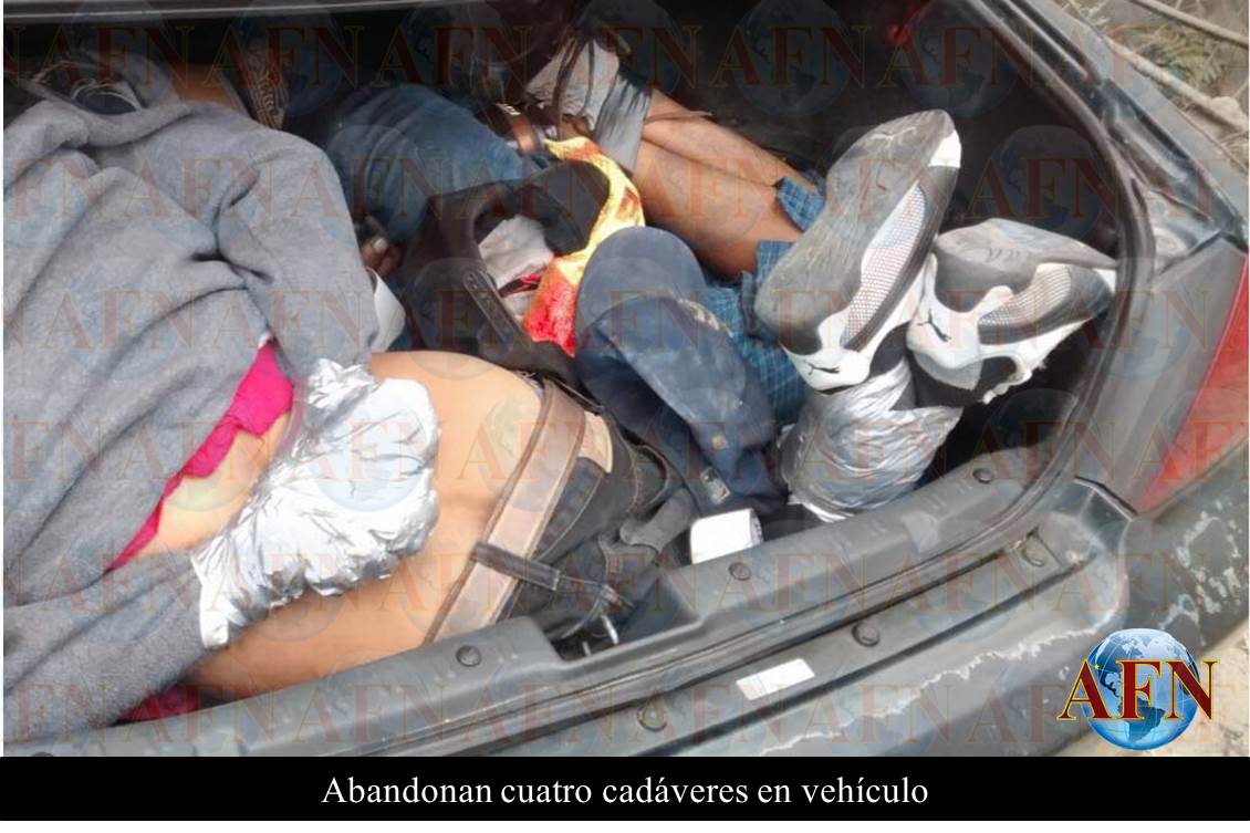 Abandonan cuatro cadáveres en vehículo