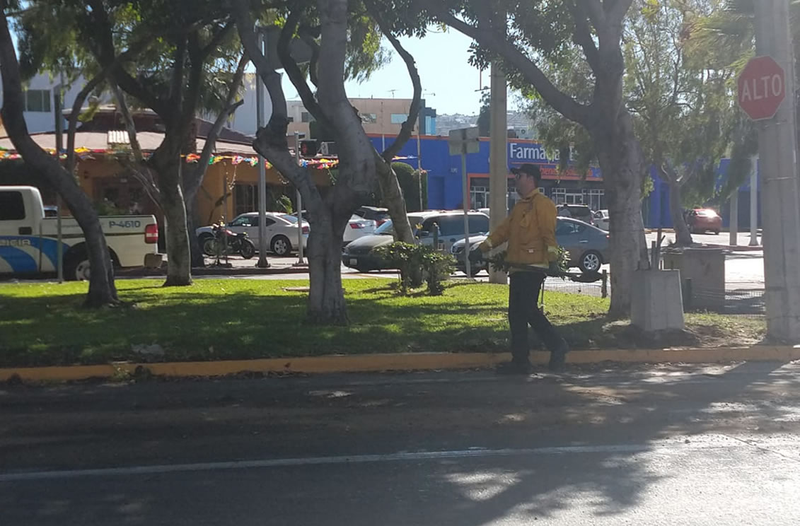 Derrame de Diesel provoca accidente