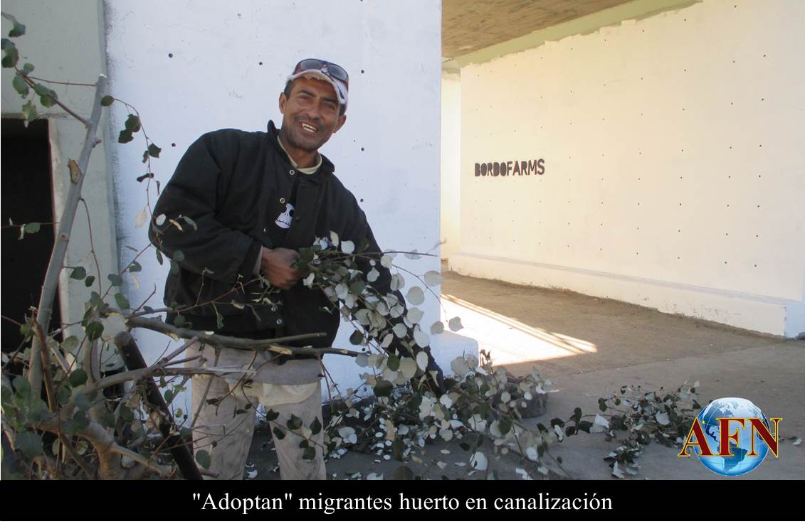 Adoptan migrantes huerto en canalización