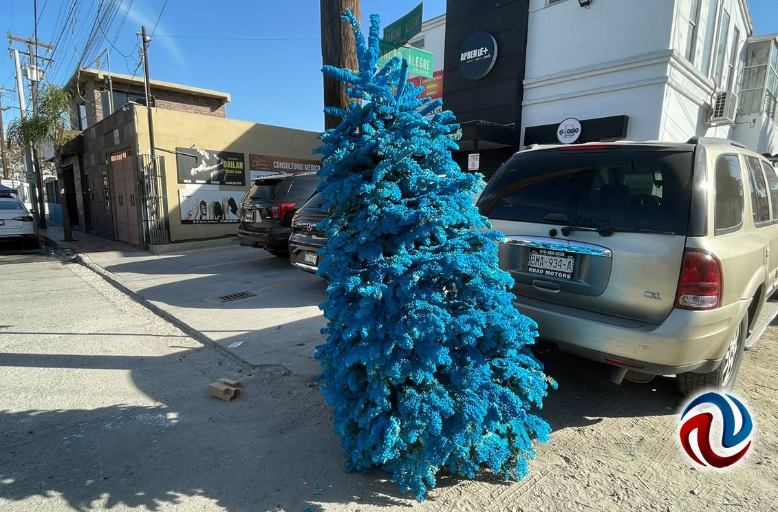 Inició campaña para reciclar los árboles navideños