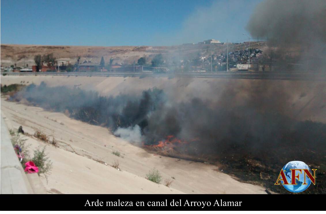 Arde maleza en canal del Arroyo Alamar