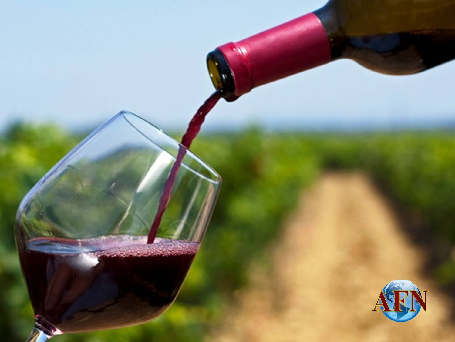 Aumenta consumo de vino en BC: Imerk