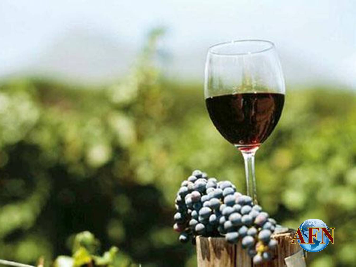 Aumenta consumo de vino en BC: Imerk