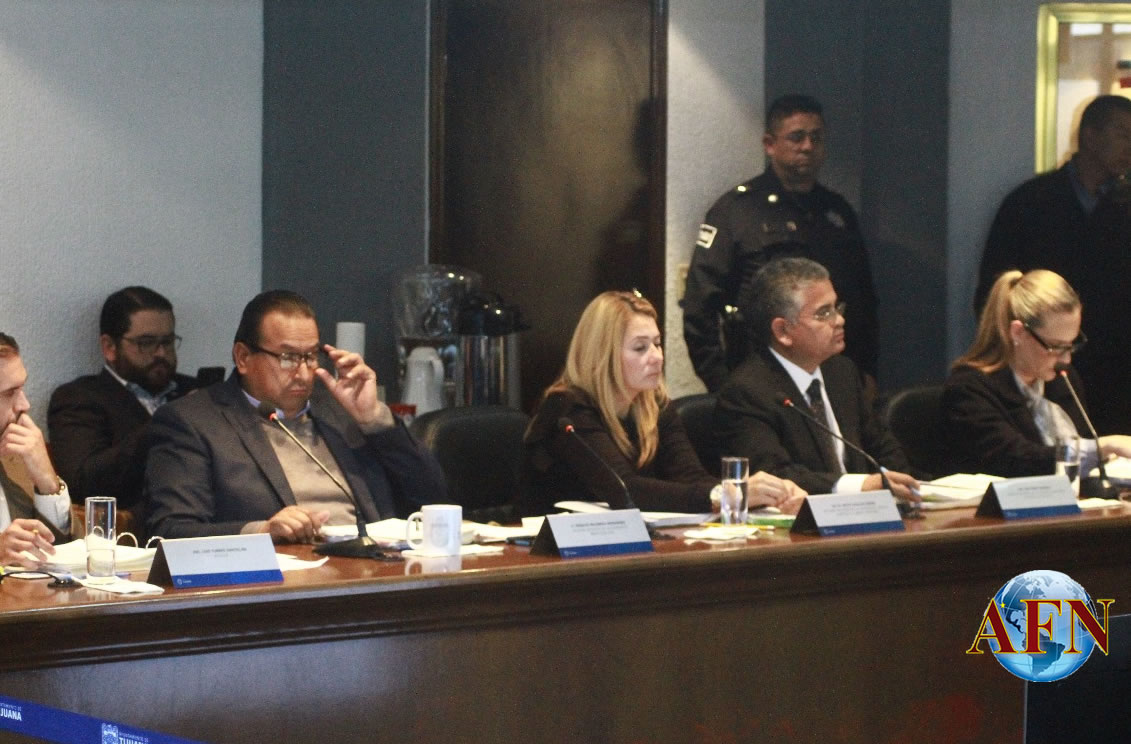 Pérez Saucedo en Comisión de Seguridad