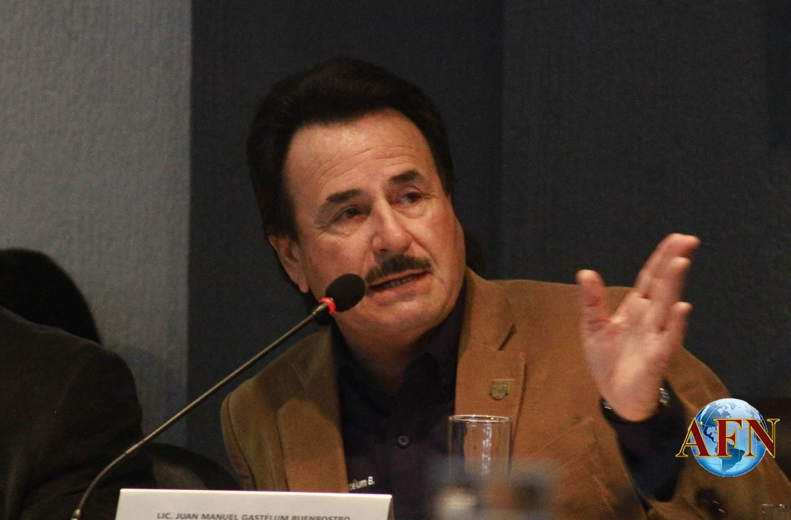 Pérez Saucedo en Comisión de Seguridad