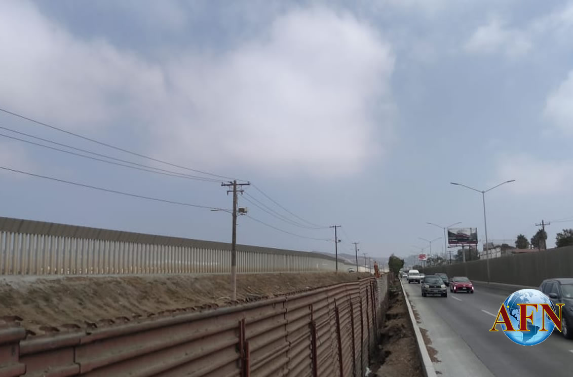 Árboles son de México pero deben retirarse: CILA