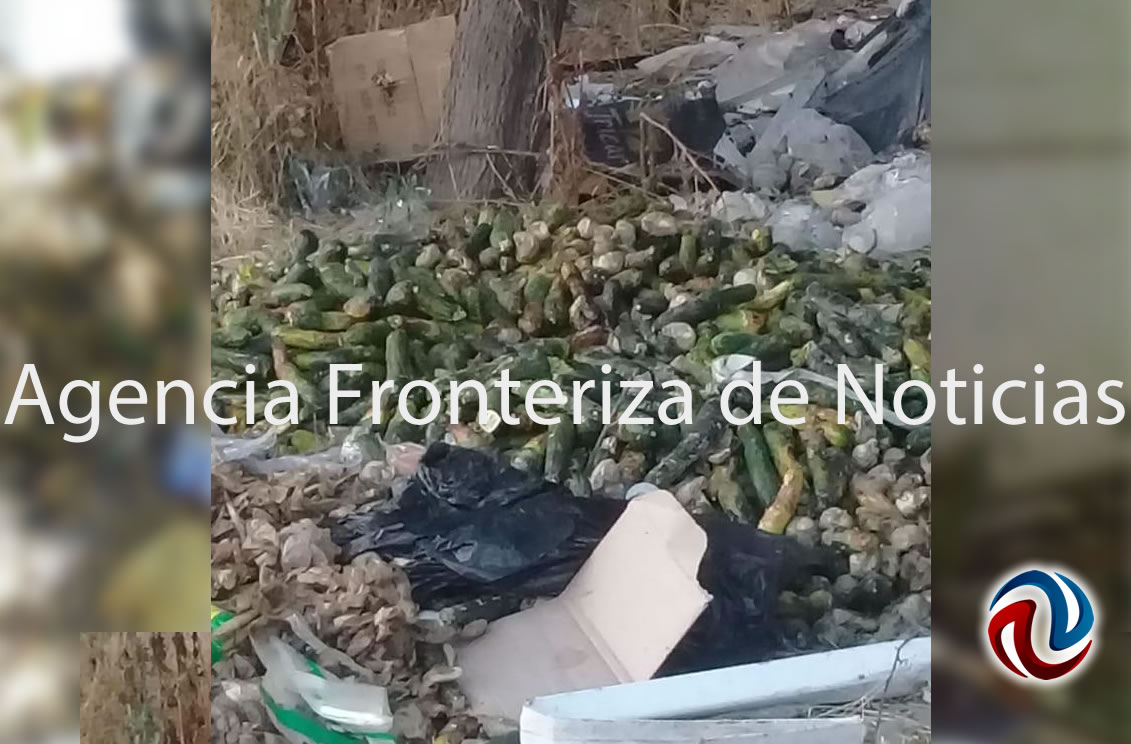 Encuentran más restos humanos en Las Delicias