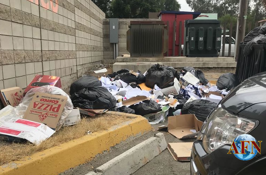 Demandan abogados más juzgados