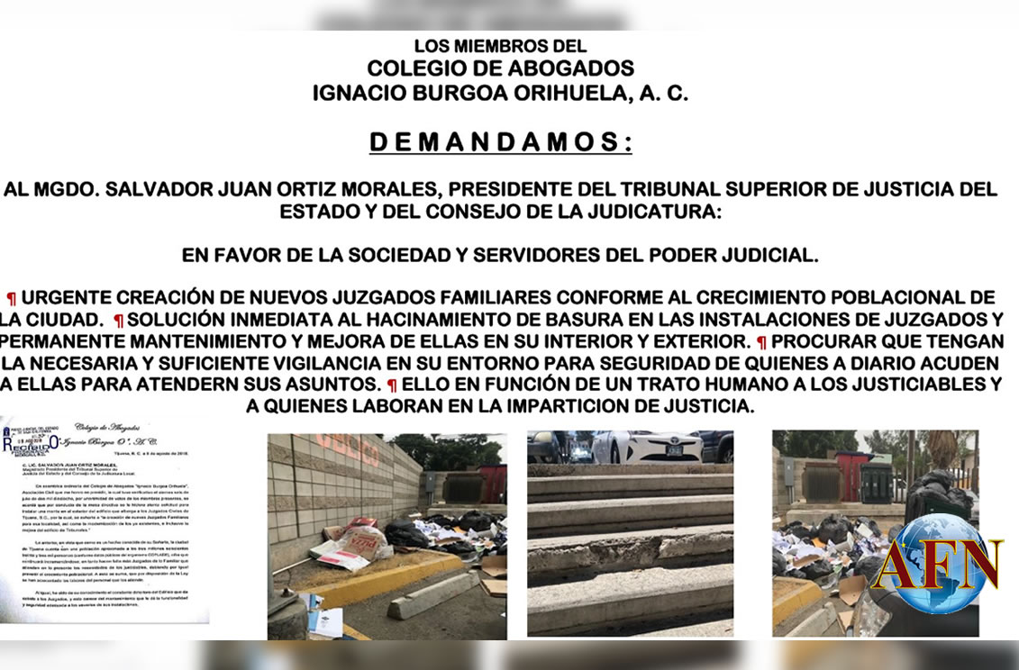 Demandan abogados más juzgados