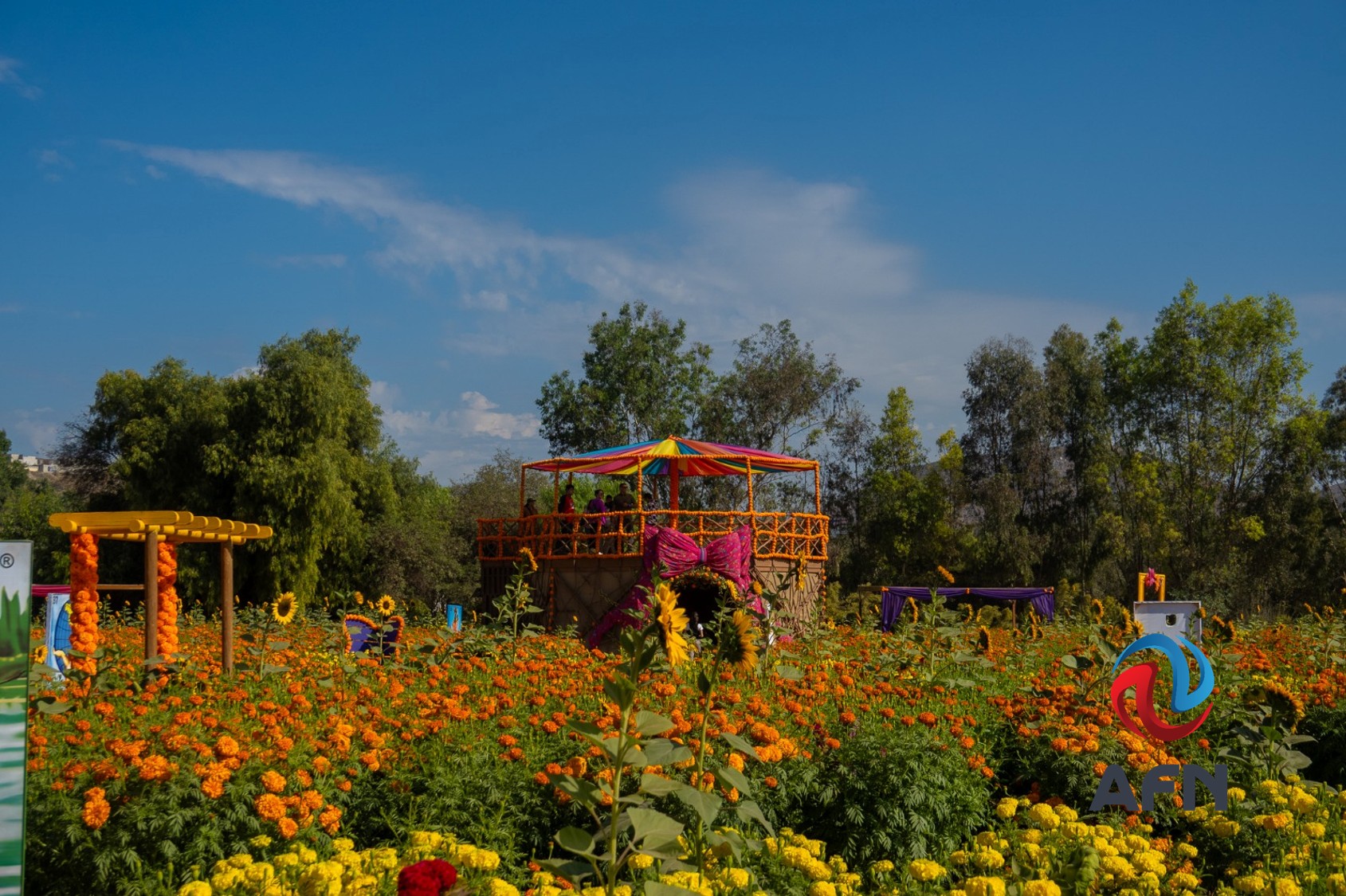 Ofrece Mictlán Campo Mágico una colorida experiencia del Día de Muertos