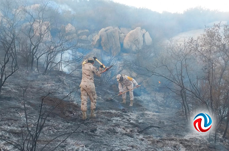 Elementos del Ejército participan en combate a incendio forestal en Tecate