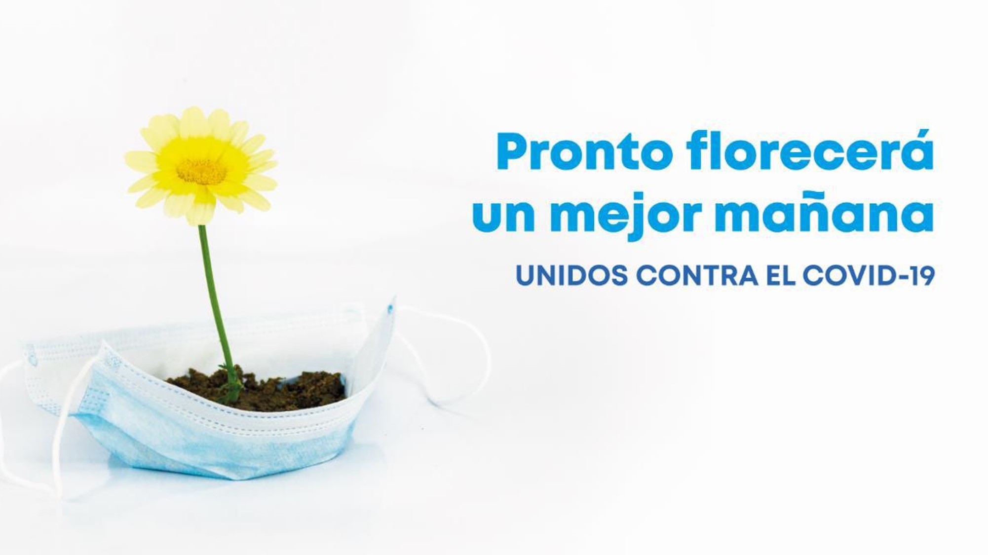 Revelan proyectos de campaña contra COVID-19 