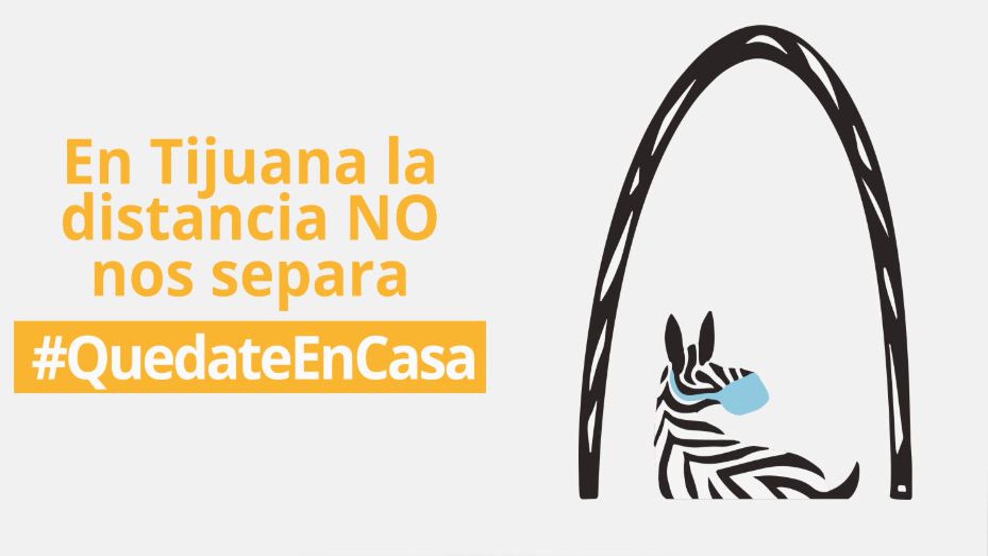 Revelan proyectos de campaña contra COVID-19 