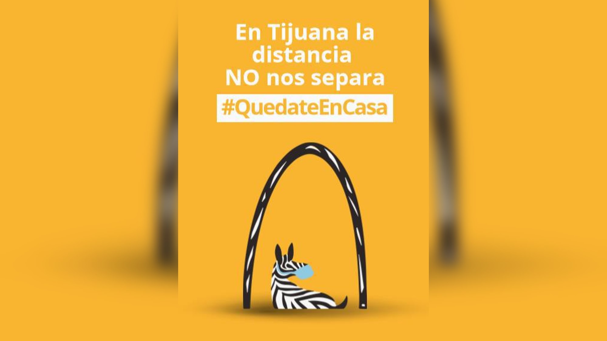 Revelan proyectos de campaña contra COVID-19 