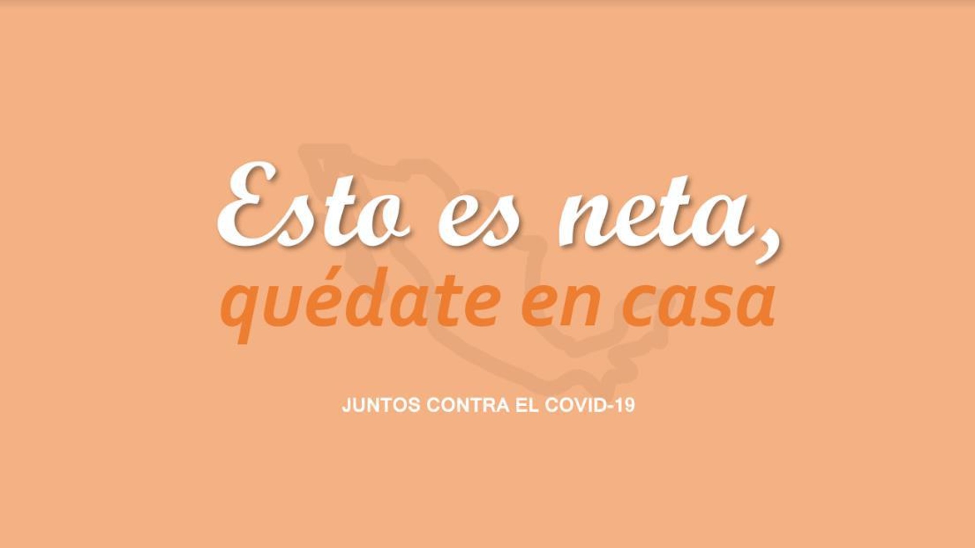 Revelan proyectos de campaña contra COVID-19 