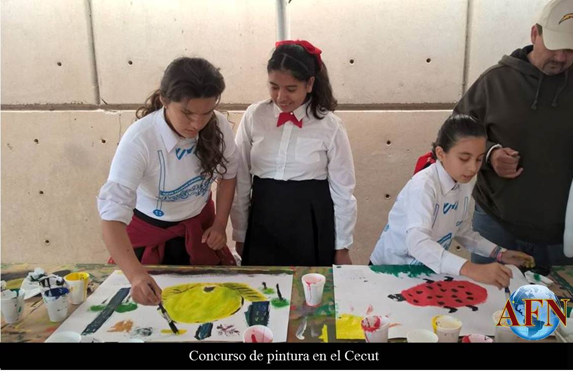 Cri-Cri sonó en el Cecut