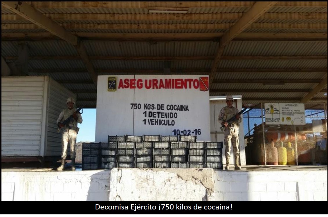 Decomisa Ejército ¡750 kilos de cocaína!
