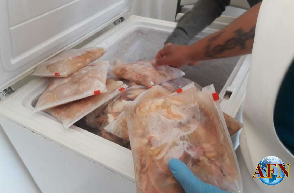 Decomisan almeja en pescadería