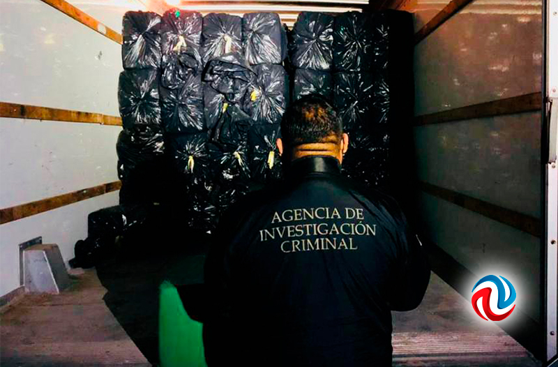 Decomisaron más de cinco toneladas de mariguana en el Murúa