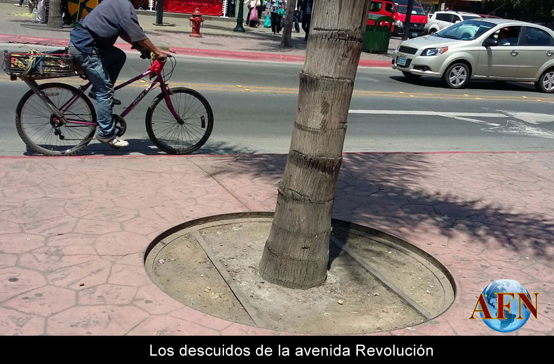 Se quejan de deterioro en la Revu