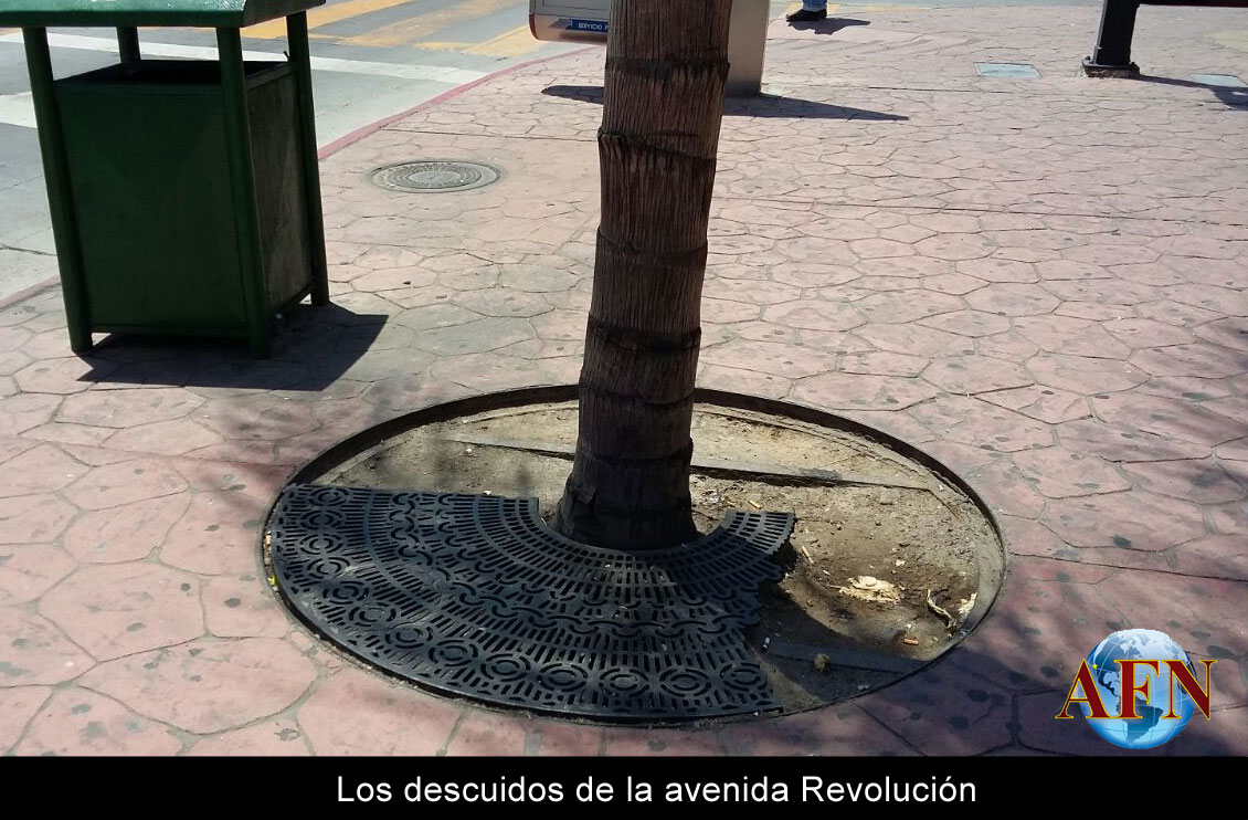 Se quejan de deterioro en la Revu