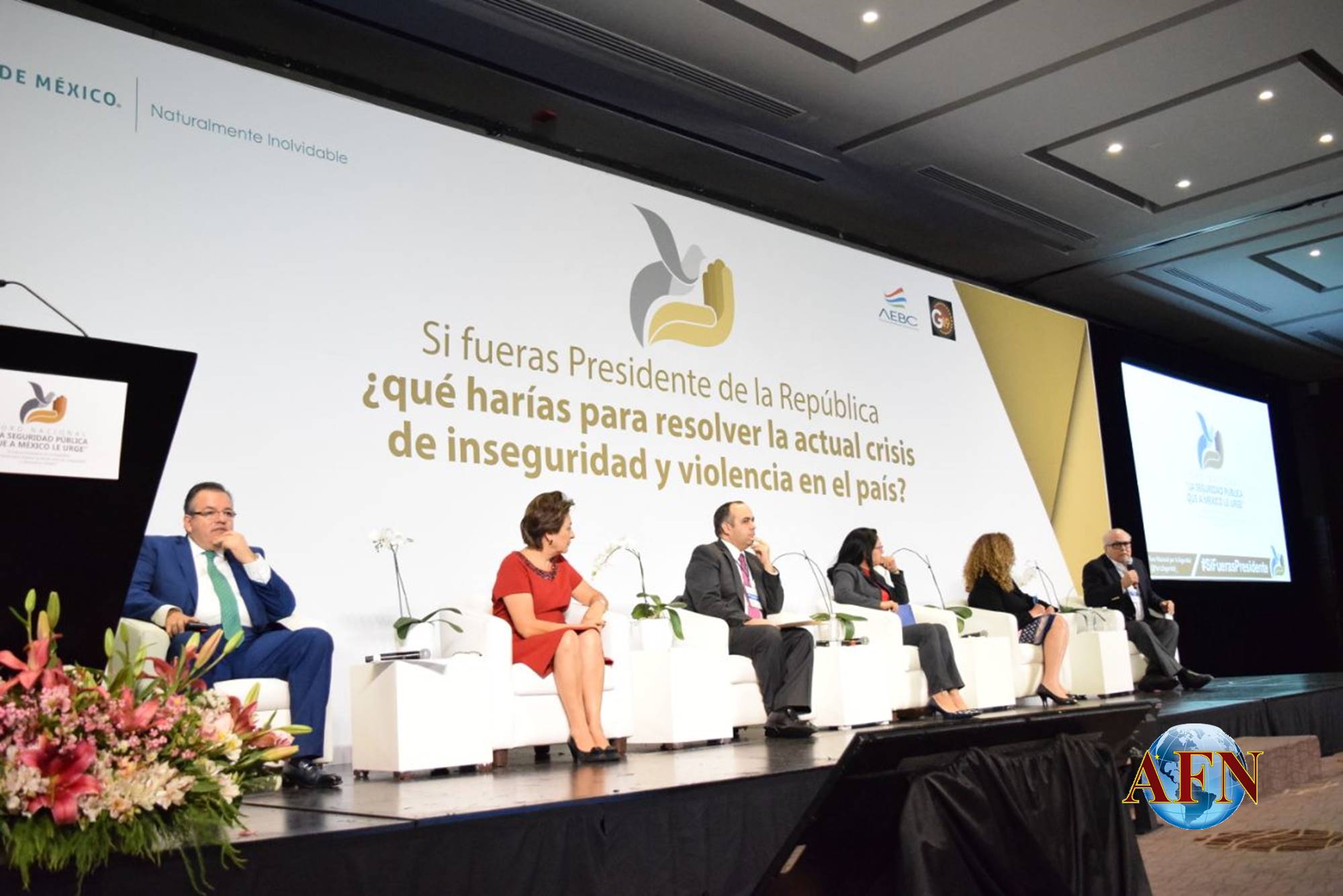 El Próximo presidente necesitará ayuda: Capella