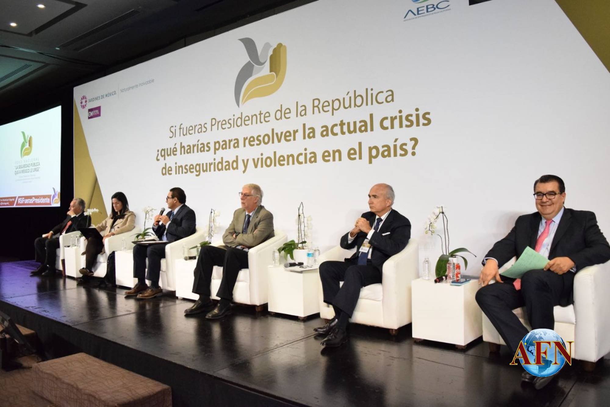 El Próximo presidente necesitará ayuda: Capella