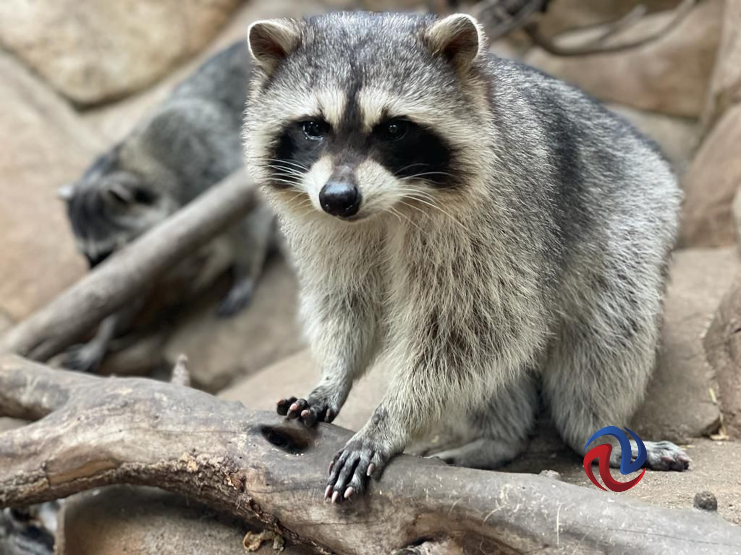 Cumple SIMPATT su 23 Aniversario 