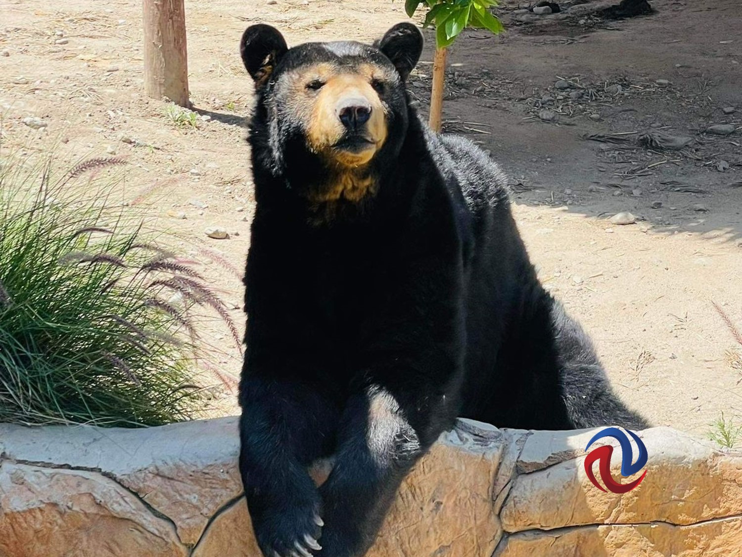 Cumple SIMPATT su 23 Aniversario 