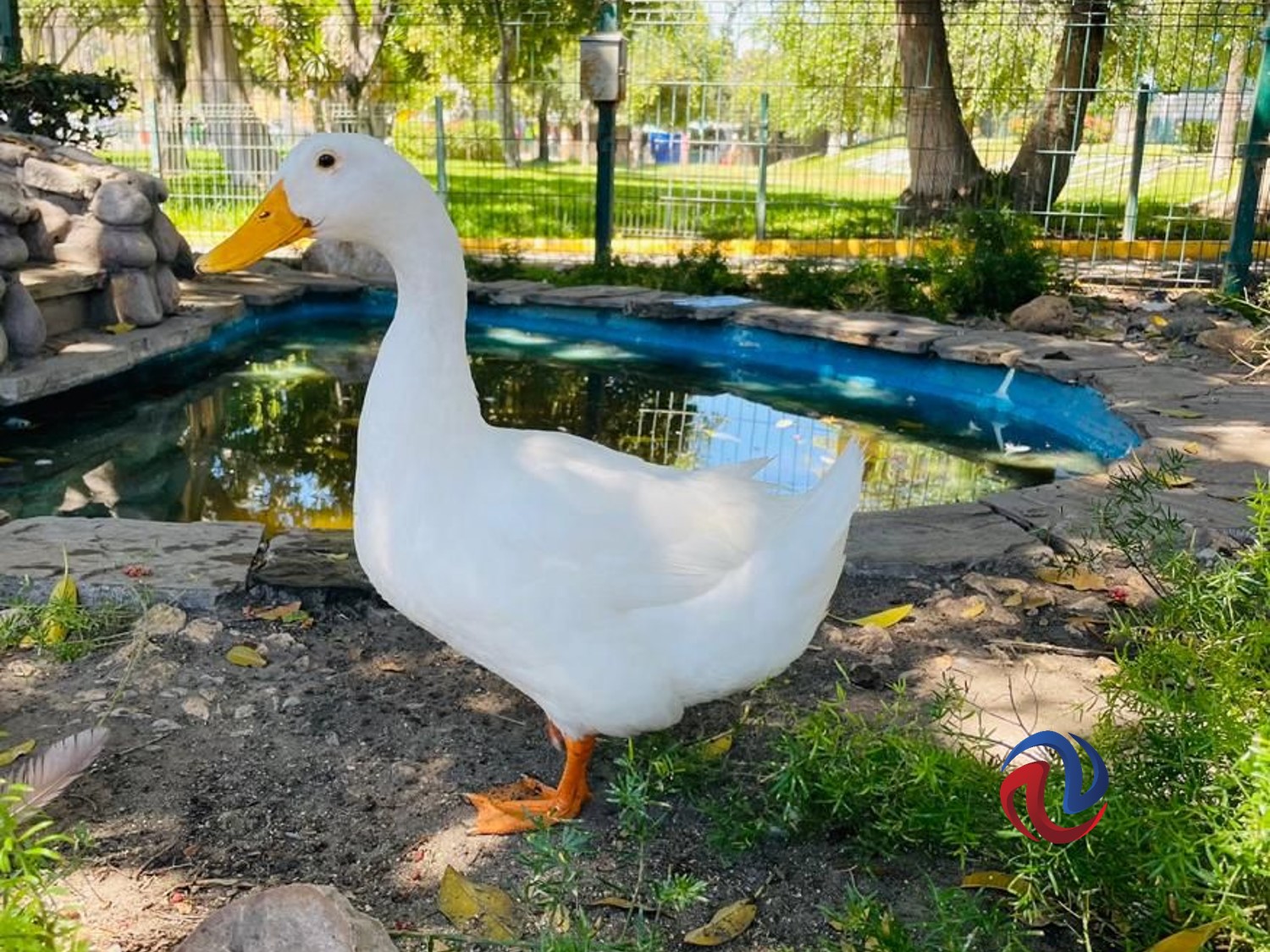 Cumple SIMPATT su 23 Aniversario 