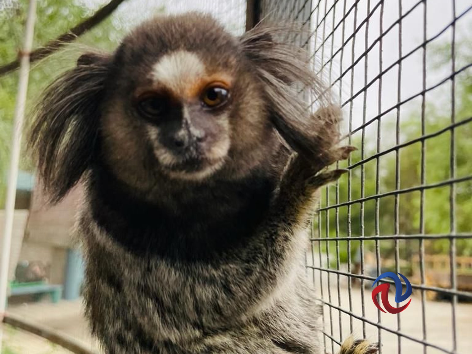 Cumple SIMPATT su 23 Aniversario 