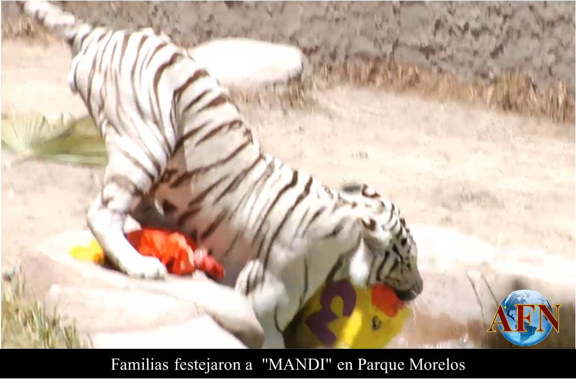 Familias festejaron a  MANDI en Parque Morelos