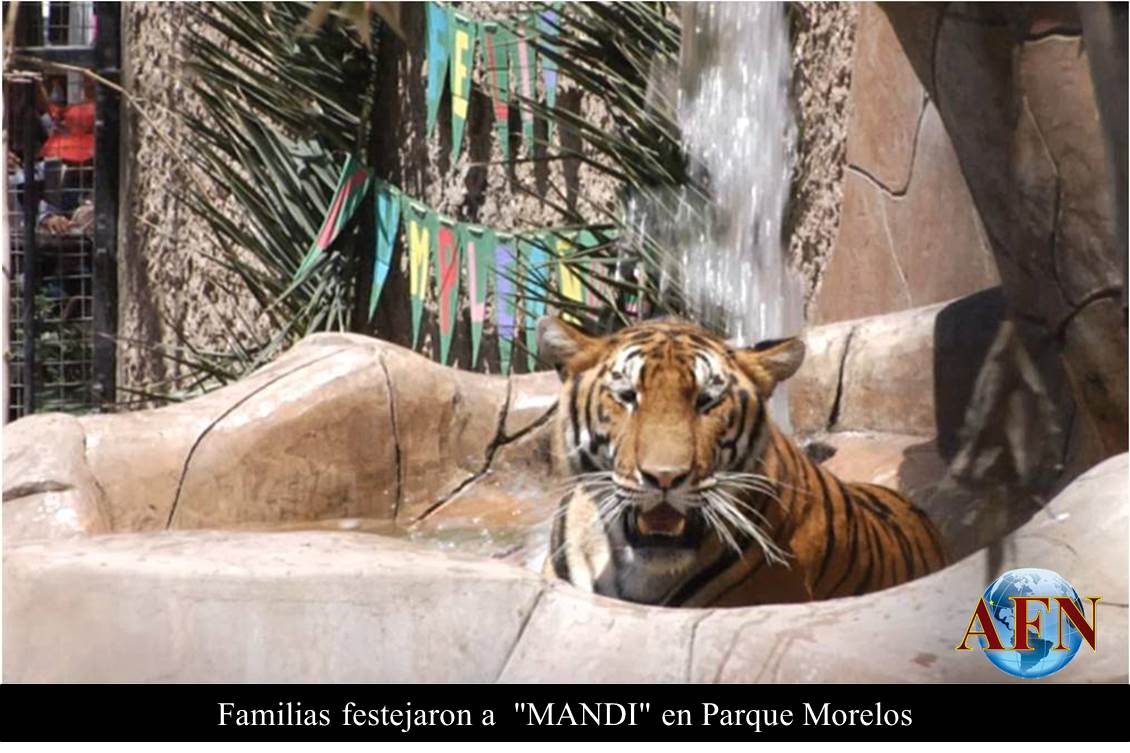 Familias festejaron a  MANDI en Parque Morelos