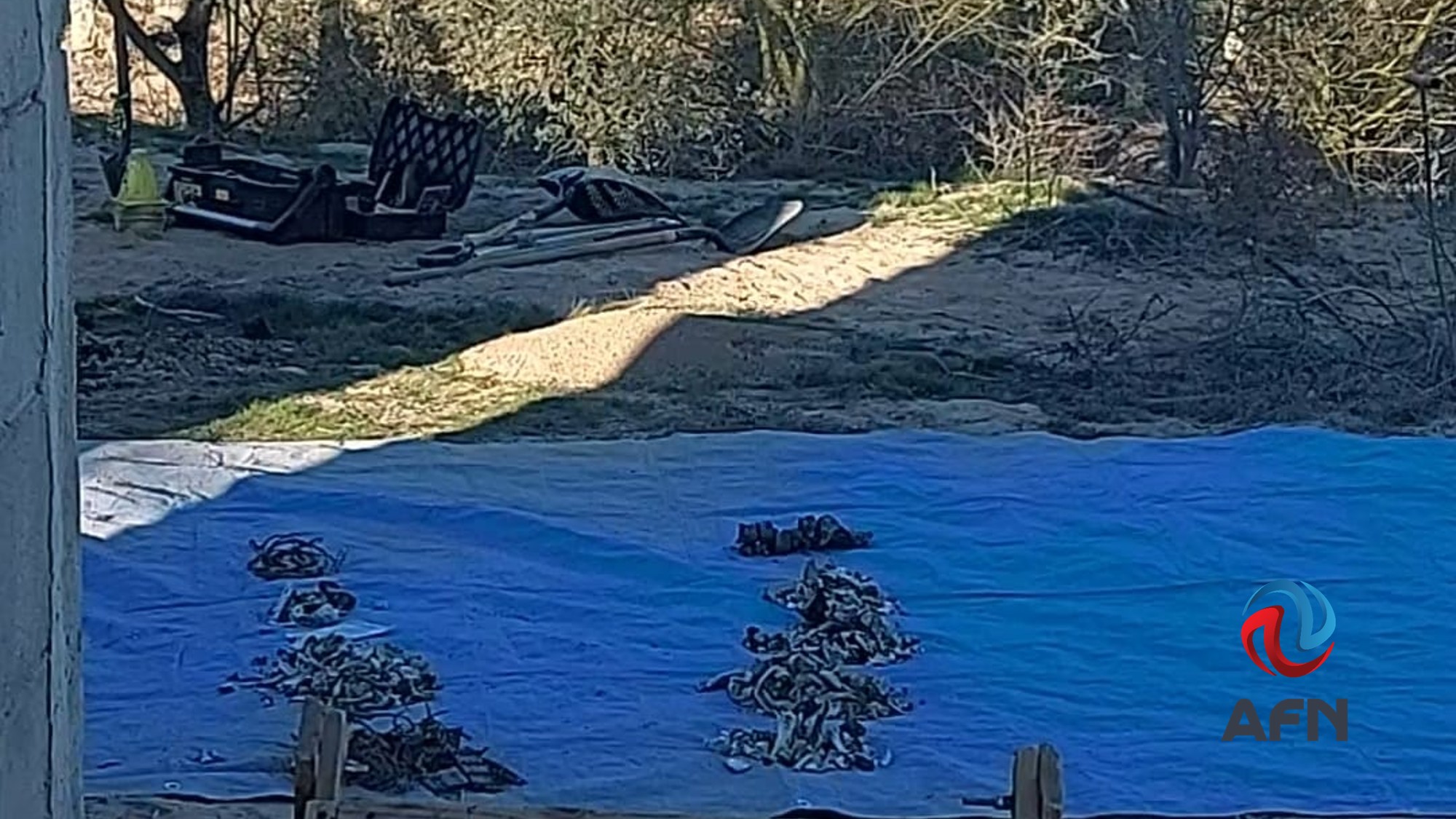 Suman tres los cuerpos hallados en la sexta fosa clandestina en Mexicali