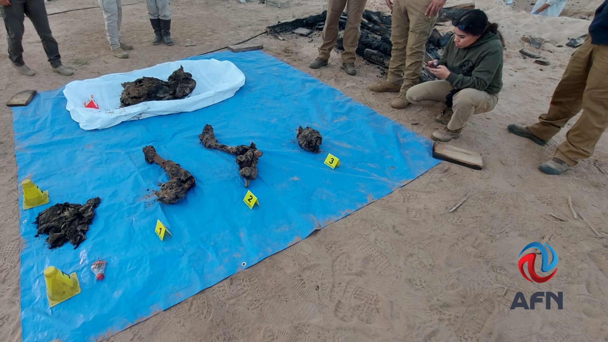 Suman cuatro fosas con 10 cuerpos encontrados en el Valle de Mexicali