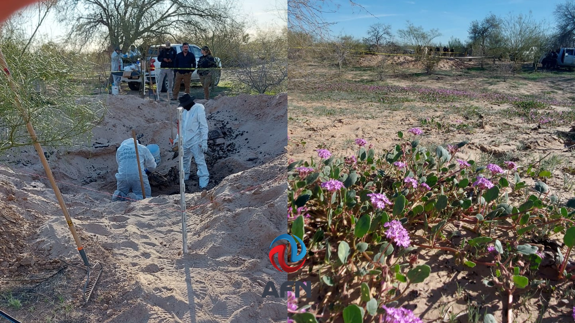 Suman cuatro fosas con 10 cuerpos encontrados en el Valle de Mexicali